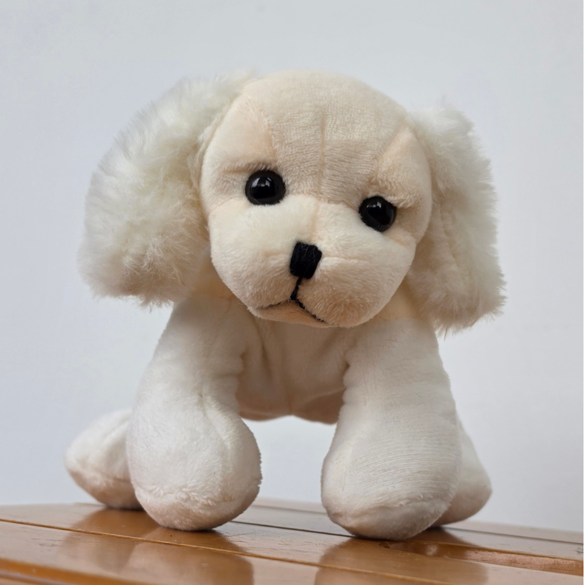 Puppy Plush